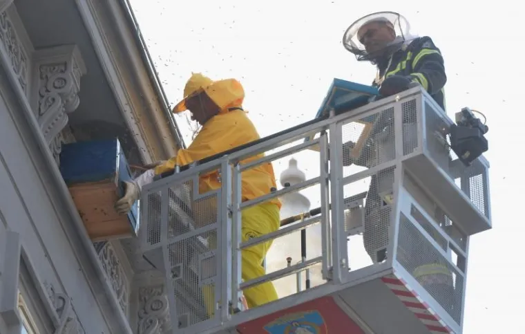 PČELE BLOKIRALE ILICU: Zbog skidanja ko&scaron;nice sa zgrade nastao kaos u centru Zagreba