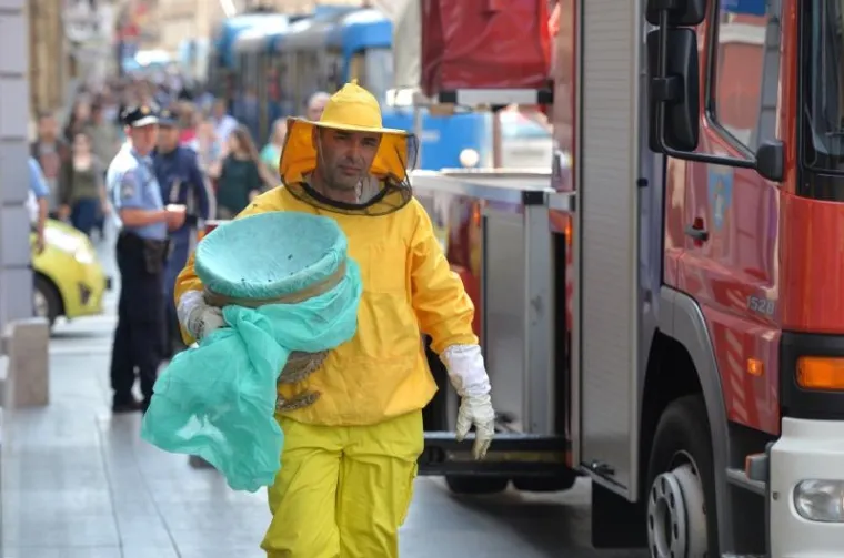 PČELE BLOKIRALE ILICU: Zbog skidanja ko&scaron;nice sa zgrade nastao kaos u centru Zagreba