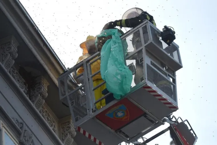 PČELE BLOKIRALE ILICU: Zbog skidanja ko&scaron;nice sa zgrade nastao kaos u centru Zagreba