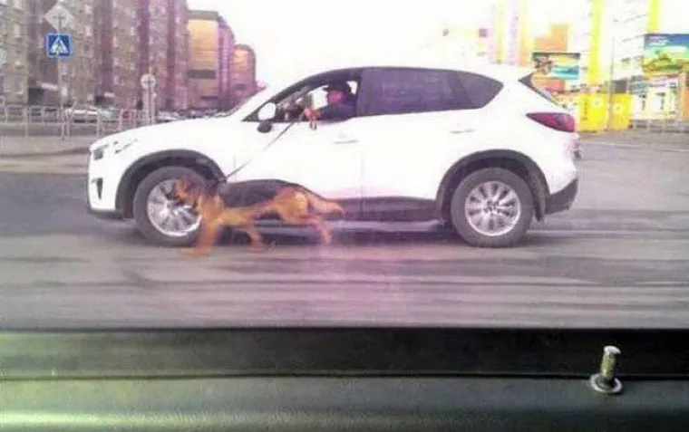 IZ RUSIJE, S LUDO&Scaron;ĆU: Kod njih ovo prolazi kao normalna svakodnevica, možda je vrijeme da im netko objasni