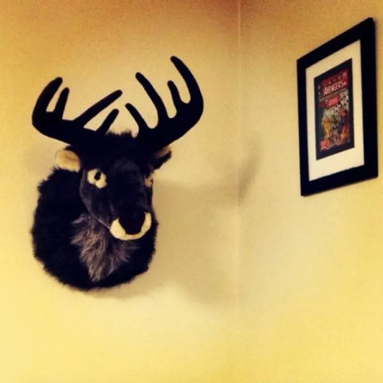 RUSI DOBILI OPAKU KONKURENCIJU: Hipsteri imaju stvarno ludih ideja, neke od njih okupili smo u galeriji