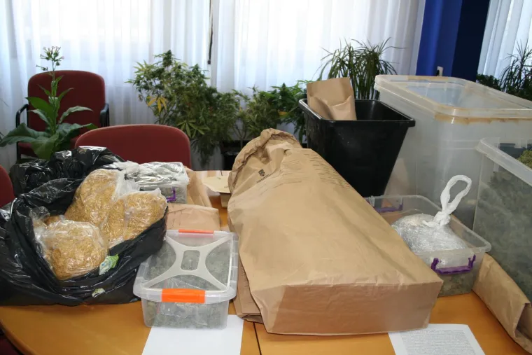 Otkriveno pet profesionalnih indoor laboratorija za uzgoj marihuane