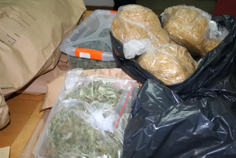 Otkriveno pet profesionalnih indoor laboratorija za uzgoj marihuane