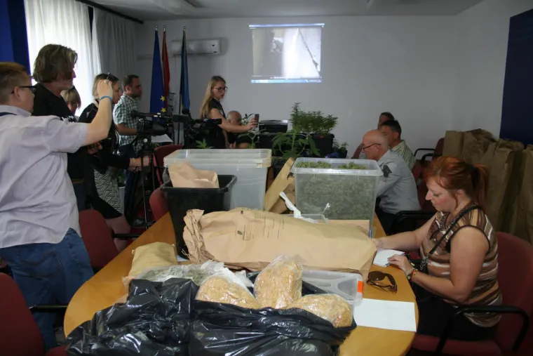 Otkriveno pet profesionalnih indoor laboratorija za uzgoj marihuane