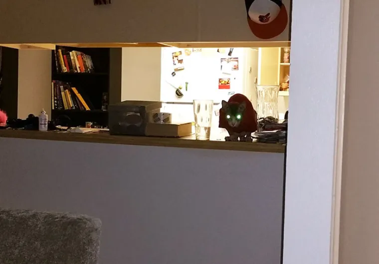 PREPOZNAJ ULJEZA: Na svim fotografijama je zajednička jedna stvar, i ne, nije krokodil...