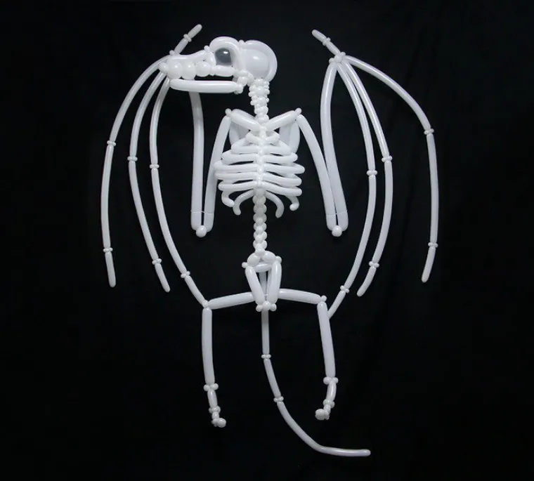 Masayoshi Matsumoto, japanski umjetnik već sedam godina radi životinje od balona. A svoje umijeće doveo je do savr&scaron;enstva...