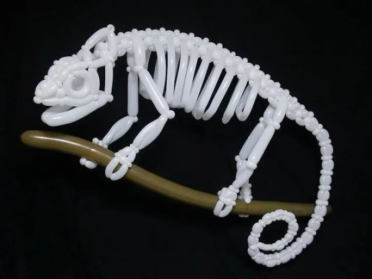 UMIJEĆE KOJE ĆE VAS OSTAVITI BEZ DAHA: Vjerovali ili ne, ove životinje napravio je samo od balona