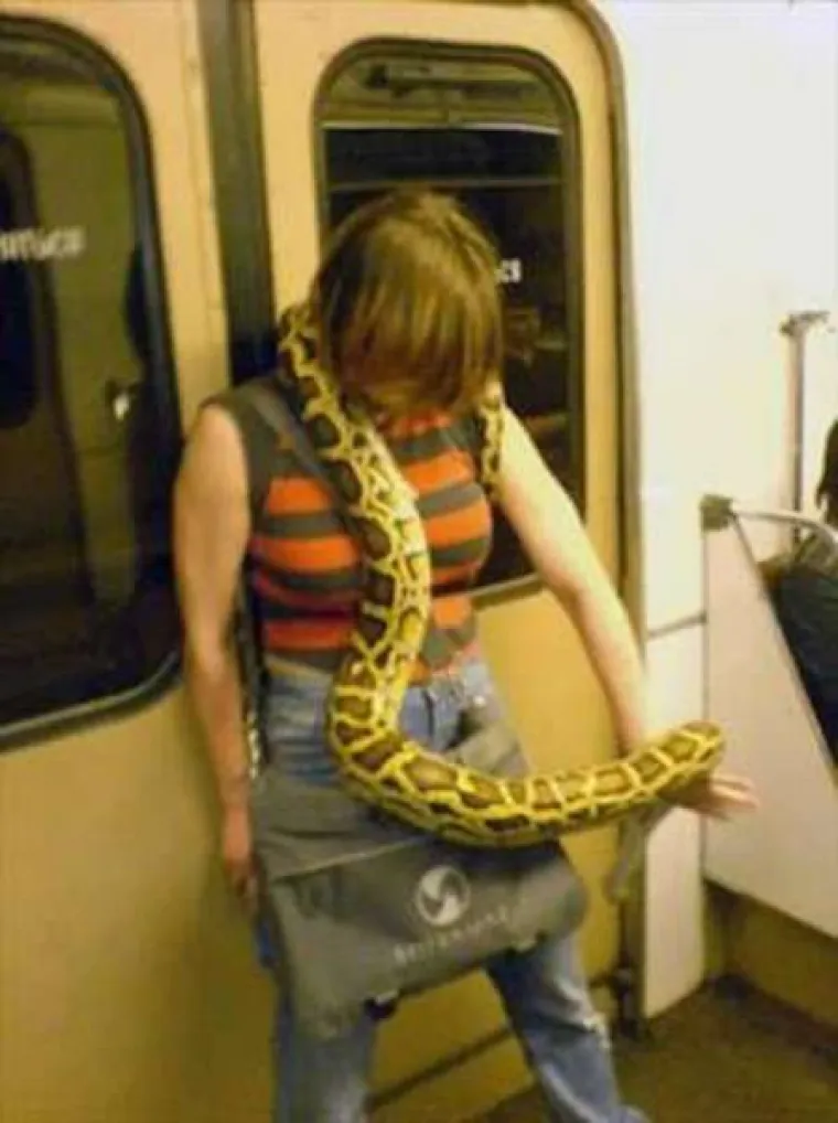 JAVNI PRIJEVOZ MOŽE BITI PAKAO: Odvratni i bizarni prizori koji su nezaobilazna strana svakodnevice