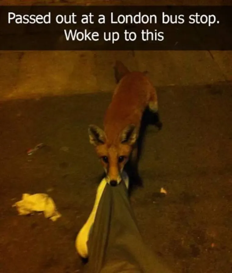 JAVNI PRIJEVOZ MOŽE BITI PAKAO: Odvratni i bizarni prizori koji su nezaobilazna strana svakodnevice