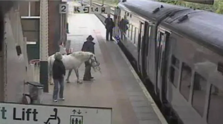 JAVNI PRIJEVOZ MOŽE BITI PAKAO: Odvratni i bizarni prizori koji su nezaobilazna strana svakodnevice