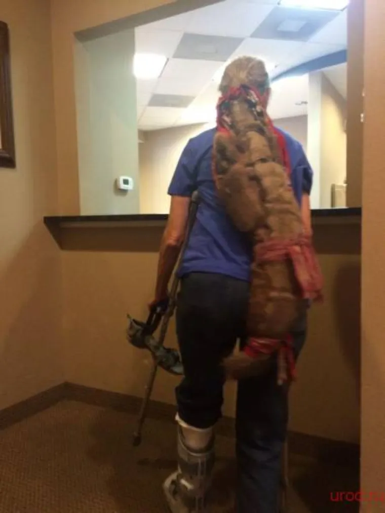 NEVJEROJATNO, ALI NIKAD JU NISU PRALI NITI REZALI: Pogledajte &scaron;to se dogodi kada potpuno zanemarite svoju kosu