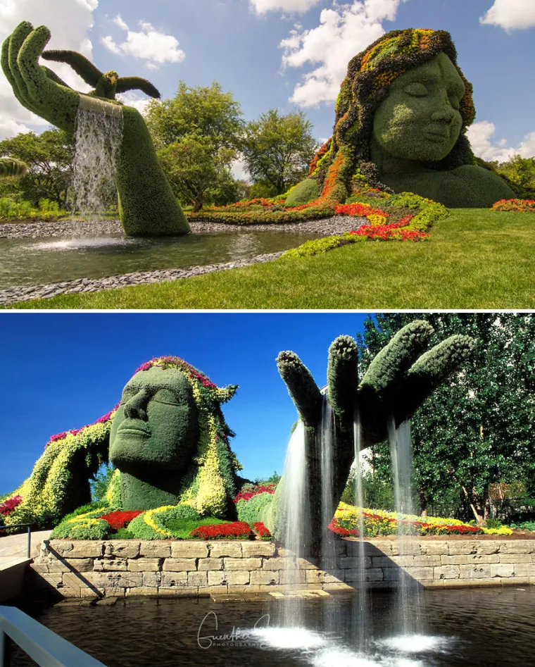 Mosaikkulutra, Montreal