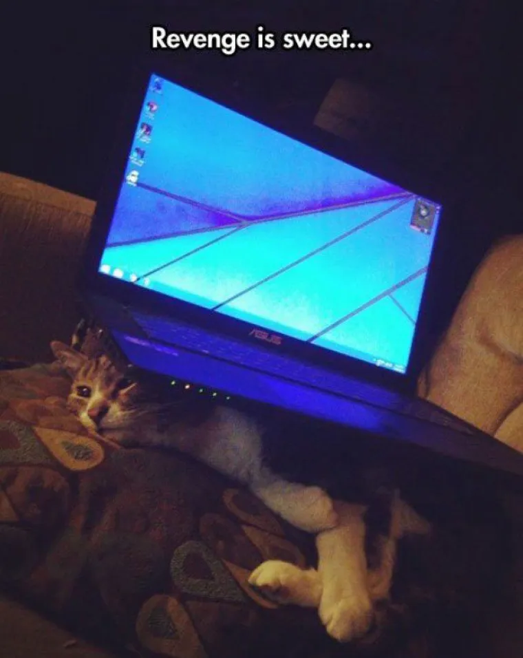 EVO ZA&Scaron;TO SE ISPLATI BITI DOBAR: Nikad ne zna&scaron; kada i kako, ali pravda sigurno stiže...