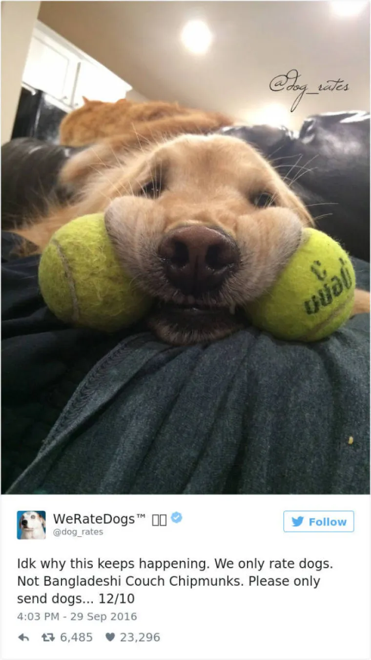 GENIJALNI TWITTERA&Scaron;: Ocjenjuje pse, a ljudi uvijek nađu način da mu po&scaron;alju ne&scaron;to sasvim deseto. Ovo su njegove reakcije