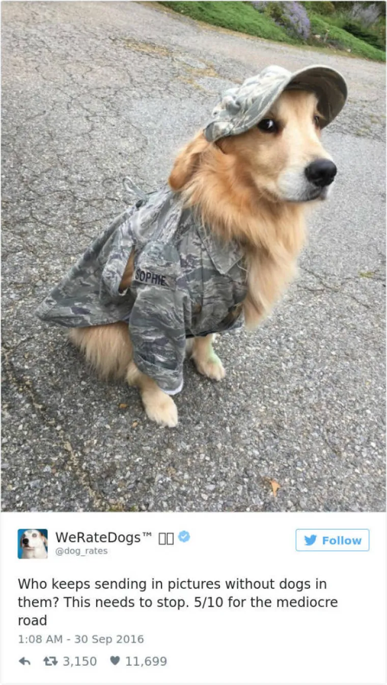 GENIJALNI TWITTERA&Scaron;: Ocjenjuje pse, a ljudi uvijek nađu način da mu po&scaron;alju ne&scaron;to sasvim deseto. Ovo su njegove reakcije