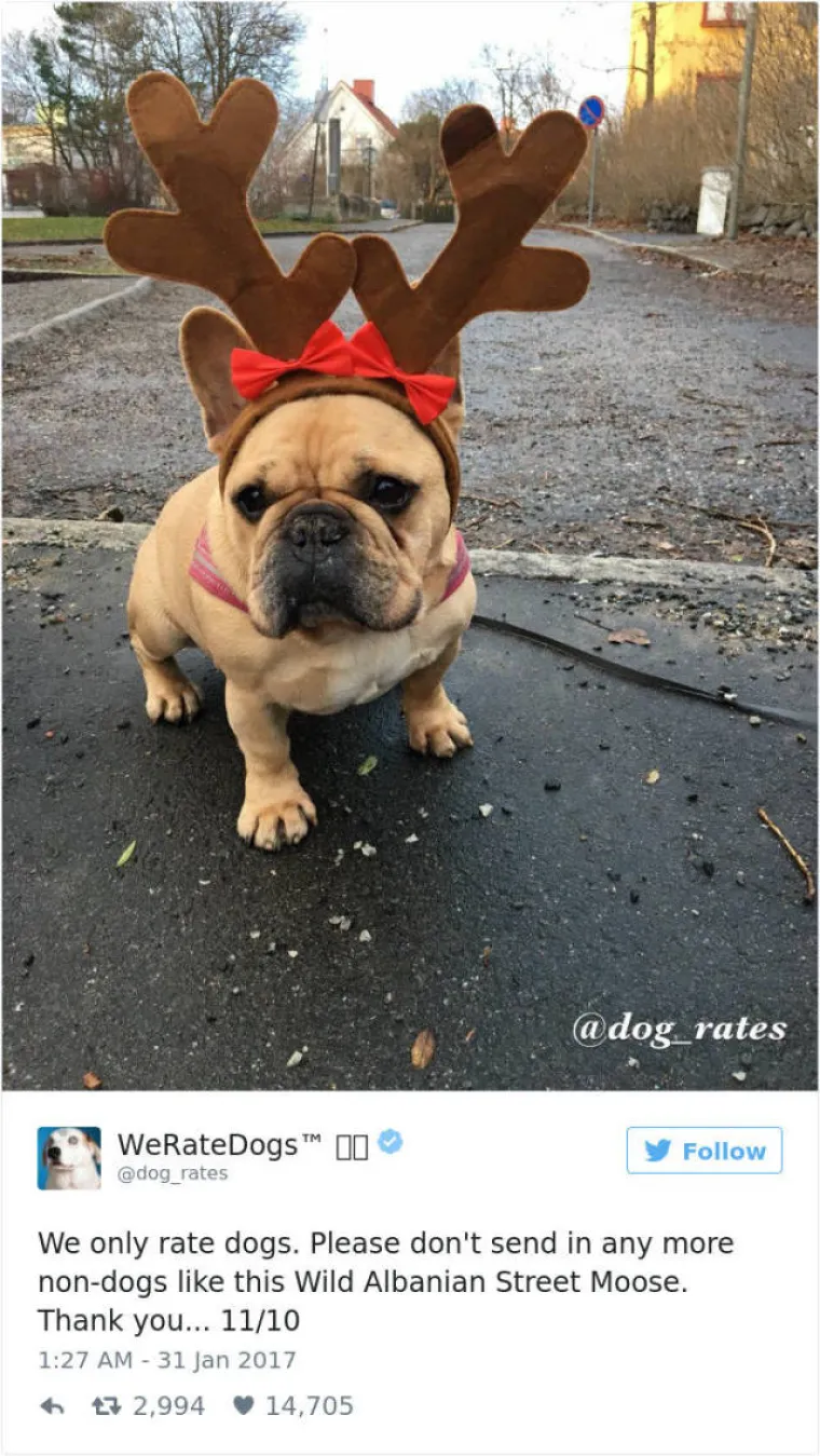 GENIJALNI TWITTERA&Scaron;: Ocjenjuje pse, a ljudi uvijek nađu način da mu po&scaron;alju ne&scaron;to sasvim deseto. Ovo su njegove reakcije