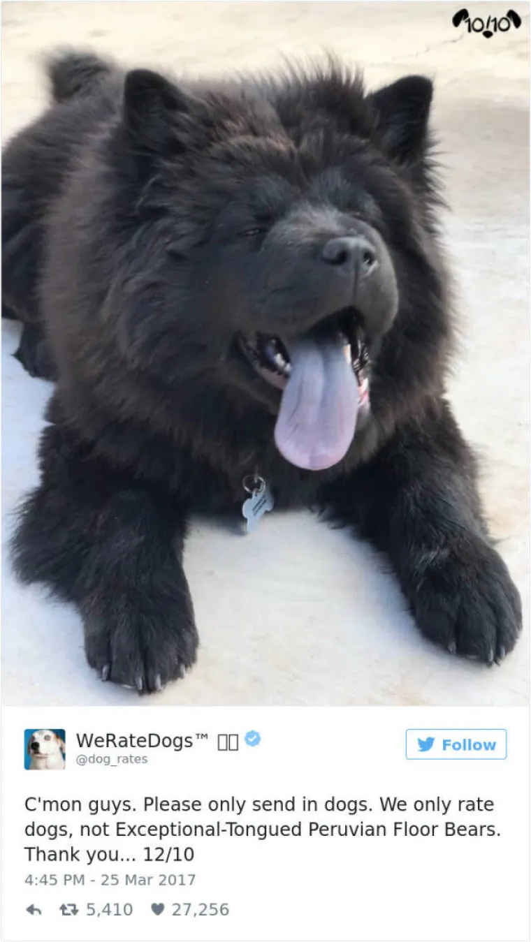 GENIJALNI TWITTERA&Scaron;: Ocjenjuje pse, a ljudi uvijek nađu način da mu po&scaron;alju ne&scaron;to sasvim deseto. Ovo su njegove reakcije