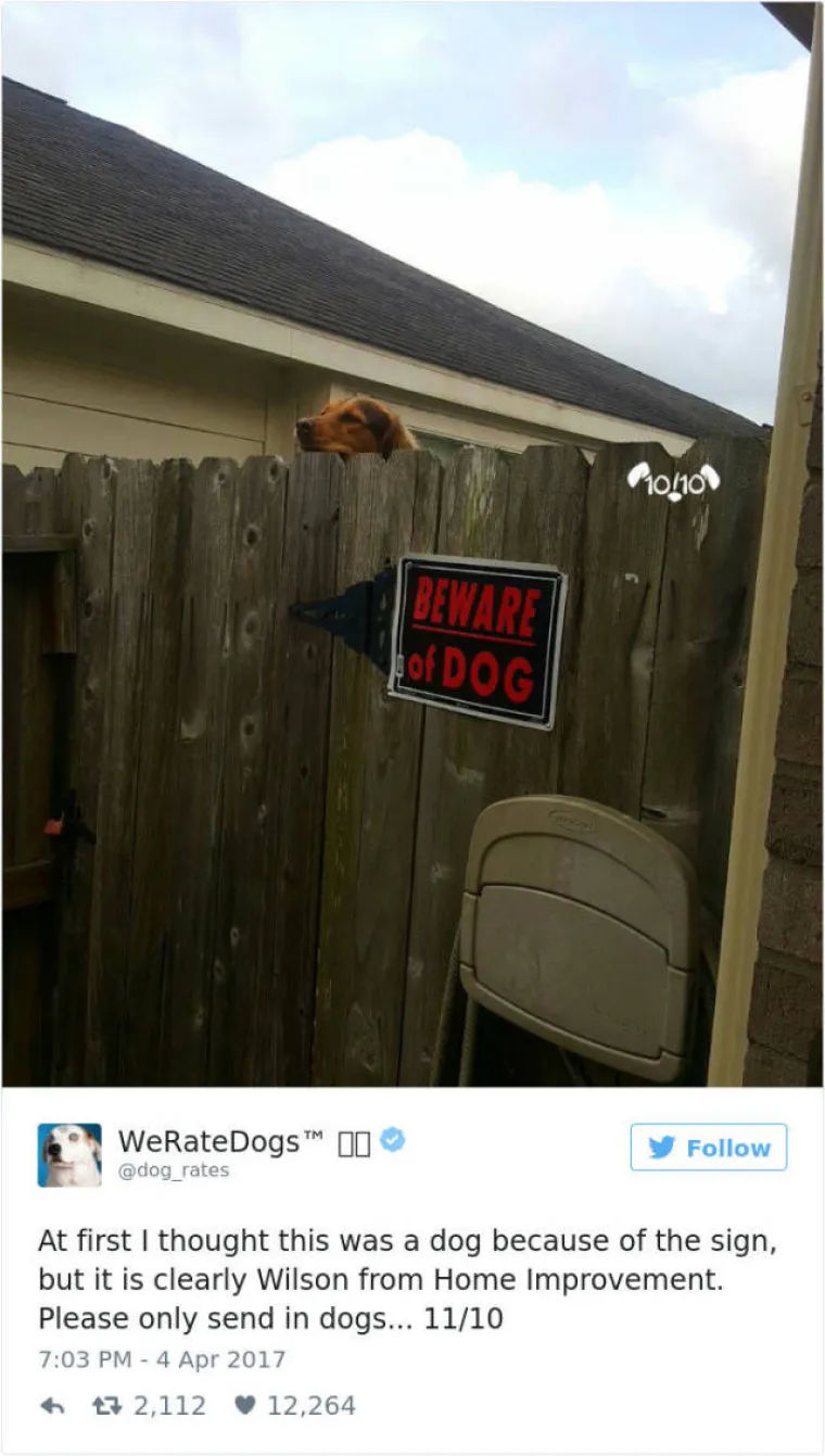 GENIJALNI TWITTERA&Scaron;: Ocjenjuje pse, a ljudi uvijek nađu način da mu po&scaron;alju ne&scaron;to sasvim deseto. Ovo su njegove reakcije