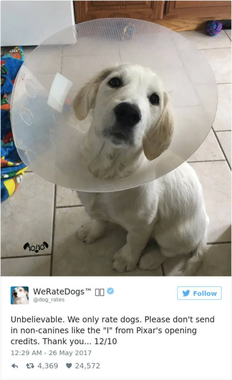 GENIJALNI TWITTERA&Scaron;: Ocjenjuje pse, a ljudi uvijek nađu način da mu po&scaron;alju ne&scaron;to sasvim deseto. Ovo su njegove reakcije