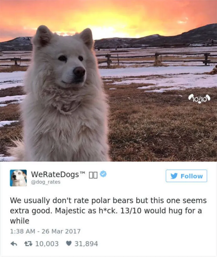 GENIJALNI TWITTERA&Scaron;: Ocjenjuje pse, a ljudi uvijek nađu način da mu po&scaron;alju ne&scaron;to sasvim deseto. Ovo su njegove reakcije