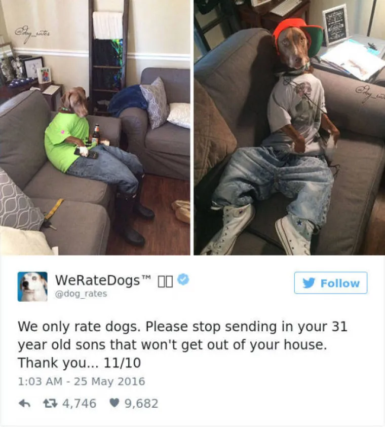 GENIJALNI TWITTERA&Scaron;: Ocjenjuje pse, a ljudi uvijek nađu način da mu po&scaron;alju ne&scaron;to sasvim deseto. Ovo su njegove reakcije