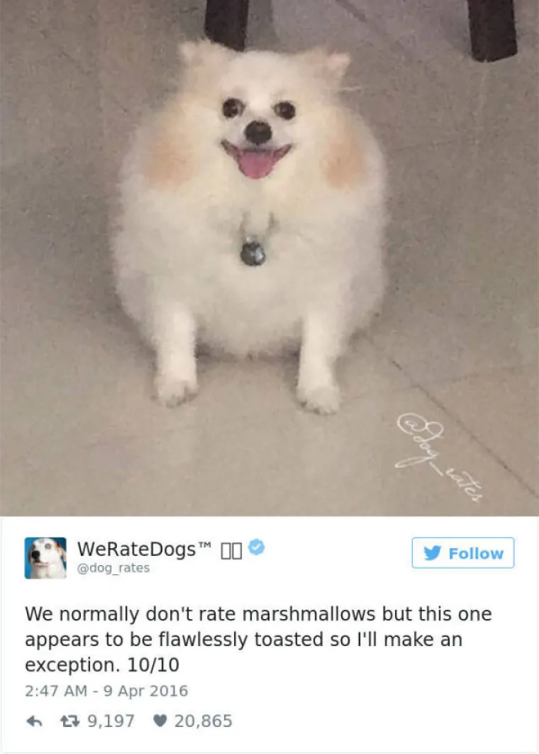 GENIJALNI TWITTERA&Scaron;: Ocjenjuje pse, a ljudi uvijek nađu način da mu po&scaron;alju ne&scaron;to sasvim deseto. Ovo su njegove reakcije