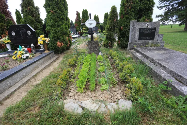 Bizarni vrt u Valpovu: netko uzgaja povrće na grobu njegove majke, a sin nema pojma za to