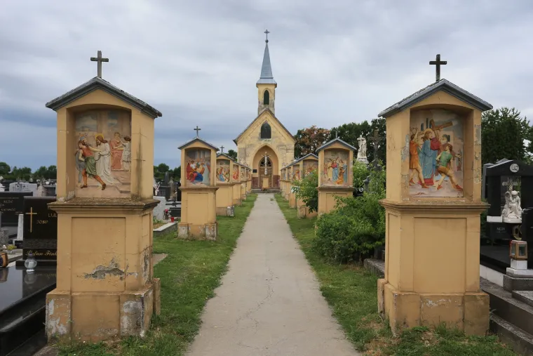 Bizarni vrt u Valpovu: netko uzgaja povrće na grobu njegove majke, a sin nema pojma za to