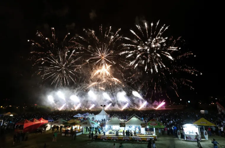 Međunarodni festival vatrometa