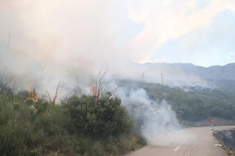 Veliki &scaron;umski požar kod Podgore: Evakuirali goste hotela i stanovnike, gasi ga 250 vatrogasaca