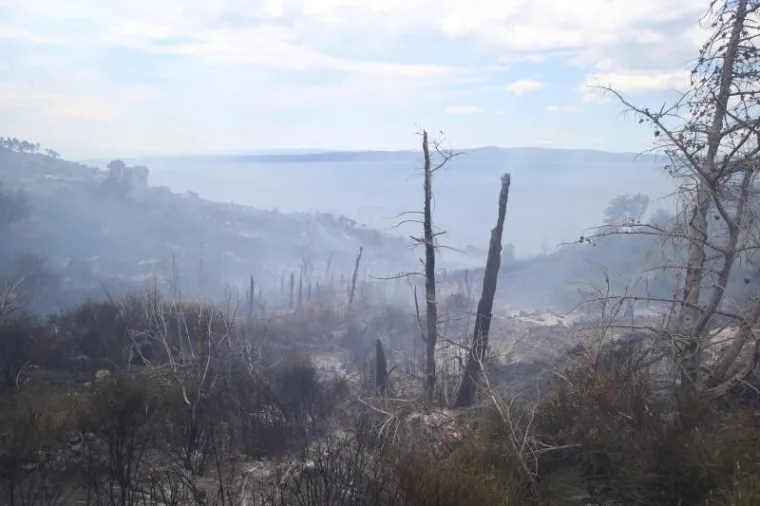 Veliki &scaron;umski požar kod Podgore: Evakuirali goste hotela i stanovnike, gasi ga 250 vatrogasaca