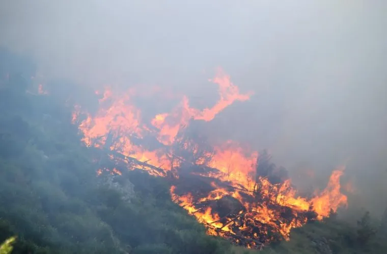 PLAMENI JEZICI NADOMAK KUĆA I HOTELA: Pogledajte kako je izgledala bitka vatrogasaca s velikim požarom kod Tučepa