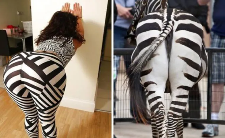 Inspiracije za modu mogu biti svuda oko nas, a u nastavku smo okupili neke od inspiracija koje su poslužile dizajnerima za stvaranje raznolike odjeće. Urnebesne usporedbe 'originala' i odjeće pogledajte u nastavku.