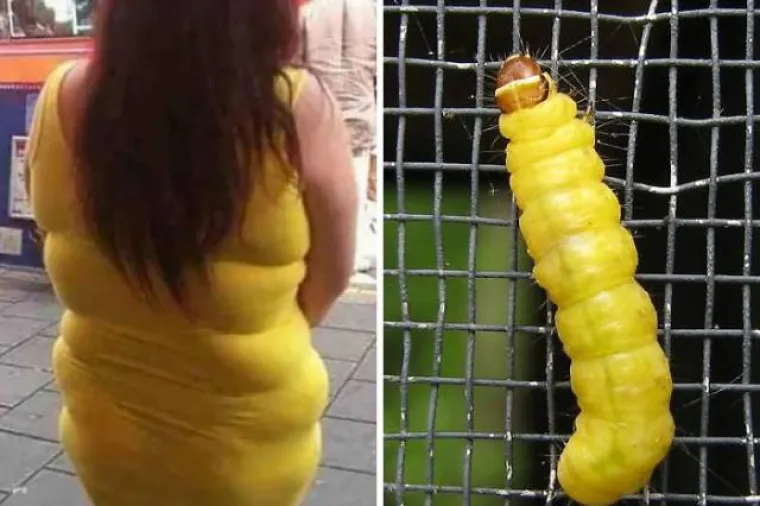 SADA NAPOKON ZNAMO OD KUD IM TAKO 'GENIJALNE' MODNE IDEJE: Nije niti čudo da izgledaju očajno...