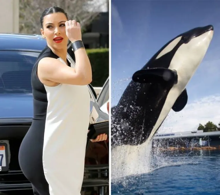 SADA NAPOKON ZNAMO OD KUD IM TAKO 'GENIJALNE' MODNE IDEJE: Nije niti čudo da izgledaju očajno...