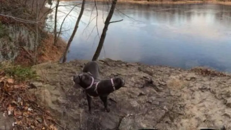 ZEMLJOM HODAJU ČUDOVI&Scaron;TA O KOJIMA NISMO NITI SANJALI: Kad se ljudi poigraju s prirodom, rezultati su zastra&scaron;ujući