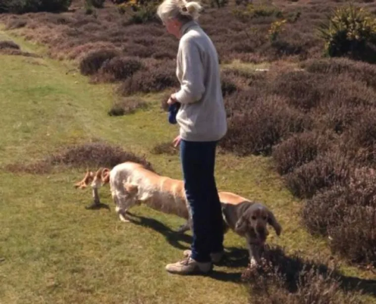 ZEMLJOM HODAJU ČUDOVI&Scaron;TA O KOJIMA NISMO NITI SANJALI: Kad se ljudi poigraju s prirodom, rezultati su zastra&scaron;ujući