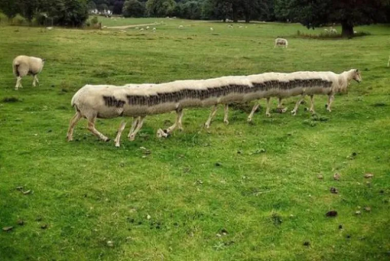 ZEMLJOM HODAJU ČUDOVI&Scaron;TA O KOJIMA NISMO NITI SANJALI: Kad se ljudi poigraju s prirodom, rezultati su zastra&scaron;ujući