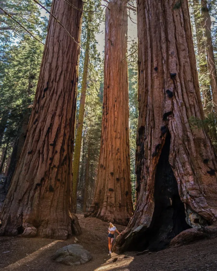 SKIDA SE I POLIJEVA BEZ STRAHA: Promovira prirodne ljepote, ali ih nitko ne primjećuje