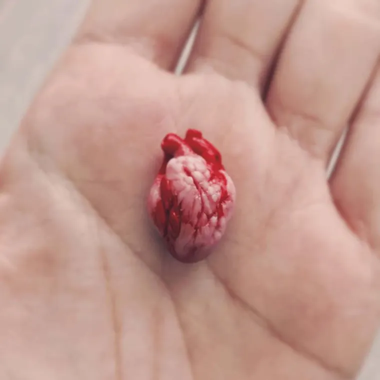 KREATIVNO, OZBILJNO POREMEĆENO ILI OBOJE? Ako vas ovo ne prestravi, ni&scaron;ta neće