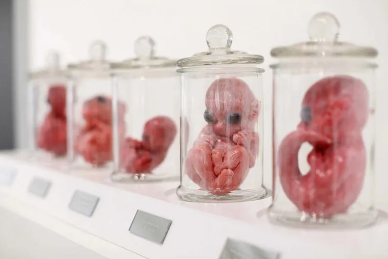 KREATIVNO, OZBILJNO POREMEĆENO ILI OBOJE? Ako vas ovo ne prestravi, ni&scaron;ta neće