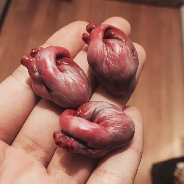 KREATIVNO, OZBILJNO POREMEĆENO ILI OBOJE? Ako vas ovo ne prestravi, ni&scaron;ta neće