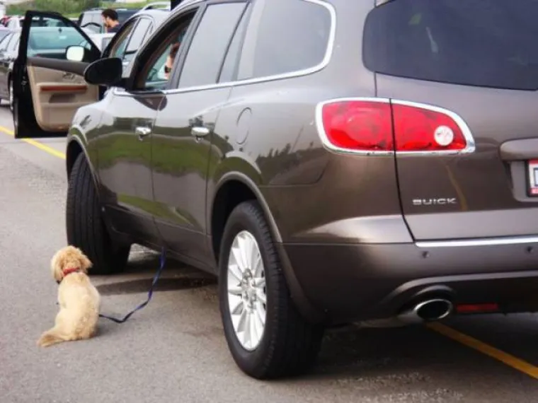 OPREZ, ŽENE ZA VOLANOM! Vozačice dokazale da i one mogu biti jednako nesposobne kao i mu&scaron;karci