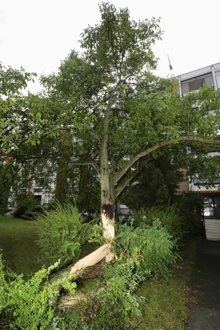 OLUJNO NEVRIJEME POHARALO HRVATSKU: Da bi za&scaron;titili automobile od tuče, vozači su se sklanjali ispod mosta