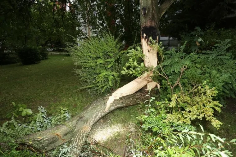 OLUJNO NEVRIJEME POHARALO HRVATSKU: Da bi za&scaron;titili automobile od tuče, vozači su se sklanjali ispod mosta