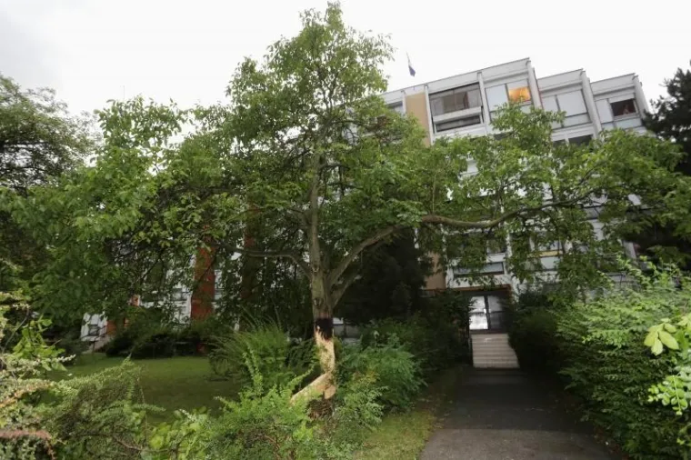 OLUJNO NEVRIJEME POHARALO HRVATSKU: Da bi za&scaron;titili automobile od tuče, vozači su se sklanjali ispod mosta