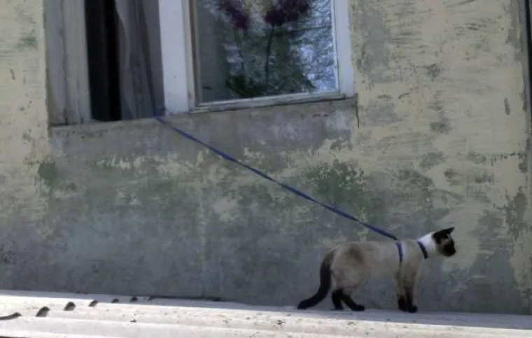 LIJENOST JE NAJBOLJI LJUDSKI IZUM: Pogledajte ova idealna rje&scaron;enja, možda vam dobro dođu na nesnosnoj vrućini