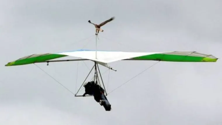 LIJENOST JE NAJBOLJI LJUDSKI IZUM: Pogledajte ova idealna rje&scaron;enja, možda vam dobro dođu na nesnosnoj vrućini