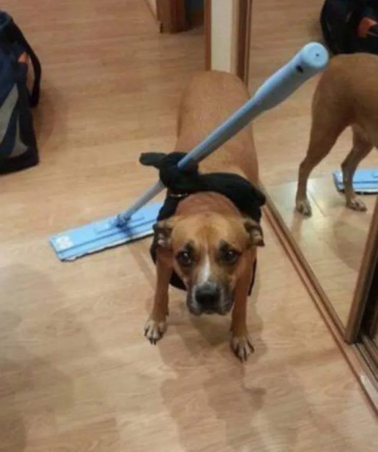 LIJENOST JE NAJBOLJI LJUDSKI IZUM: Pogledajte ova idealna rje&scaron;enja, možda vam dobro dođu na nesnosnoj vrućini