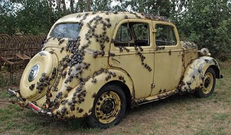 KAKVO JE VAŠE OSJETILO STRAHA? Ako vas ovi prizori ne prestraše, možda vam nedostaje bitan obrambeni mehanizam